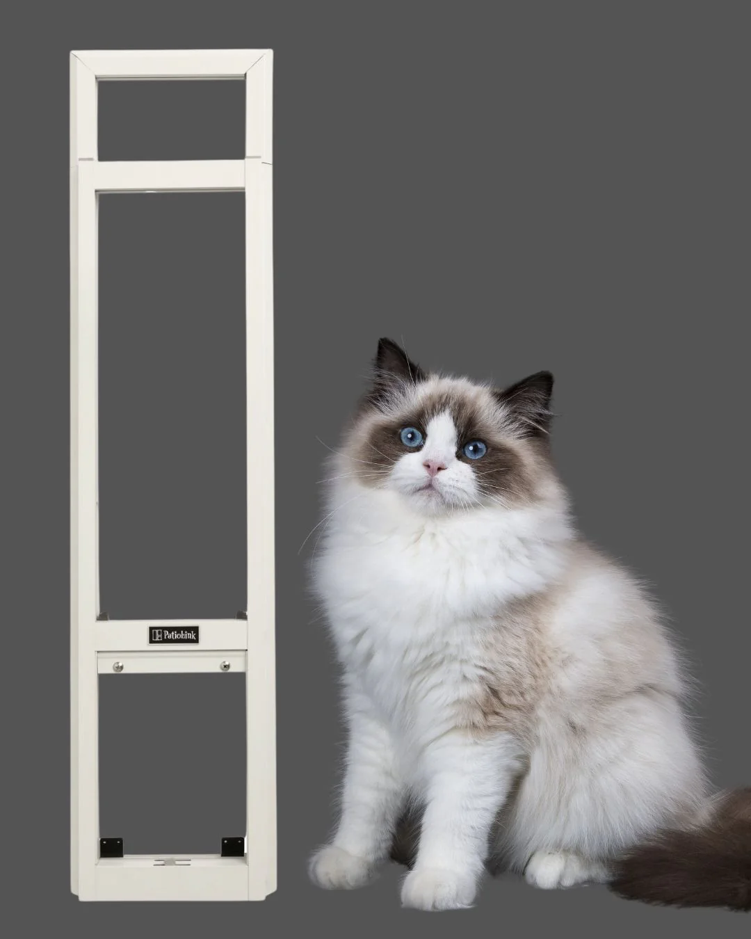 Cat Window Inserts