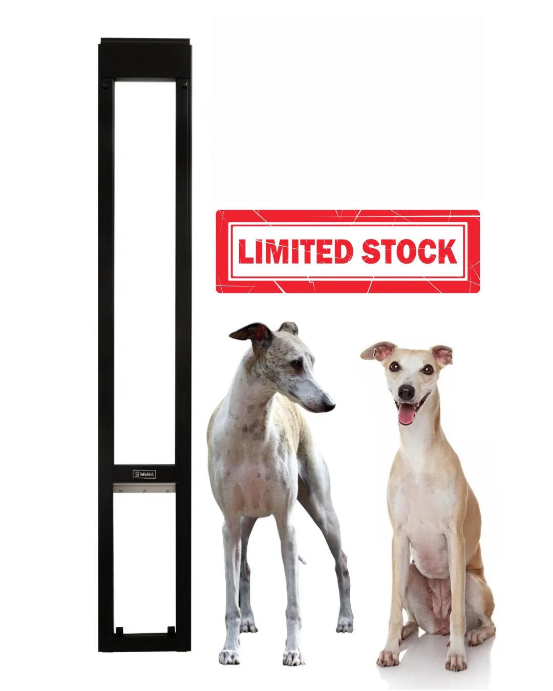 Find the Right Pet Door: