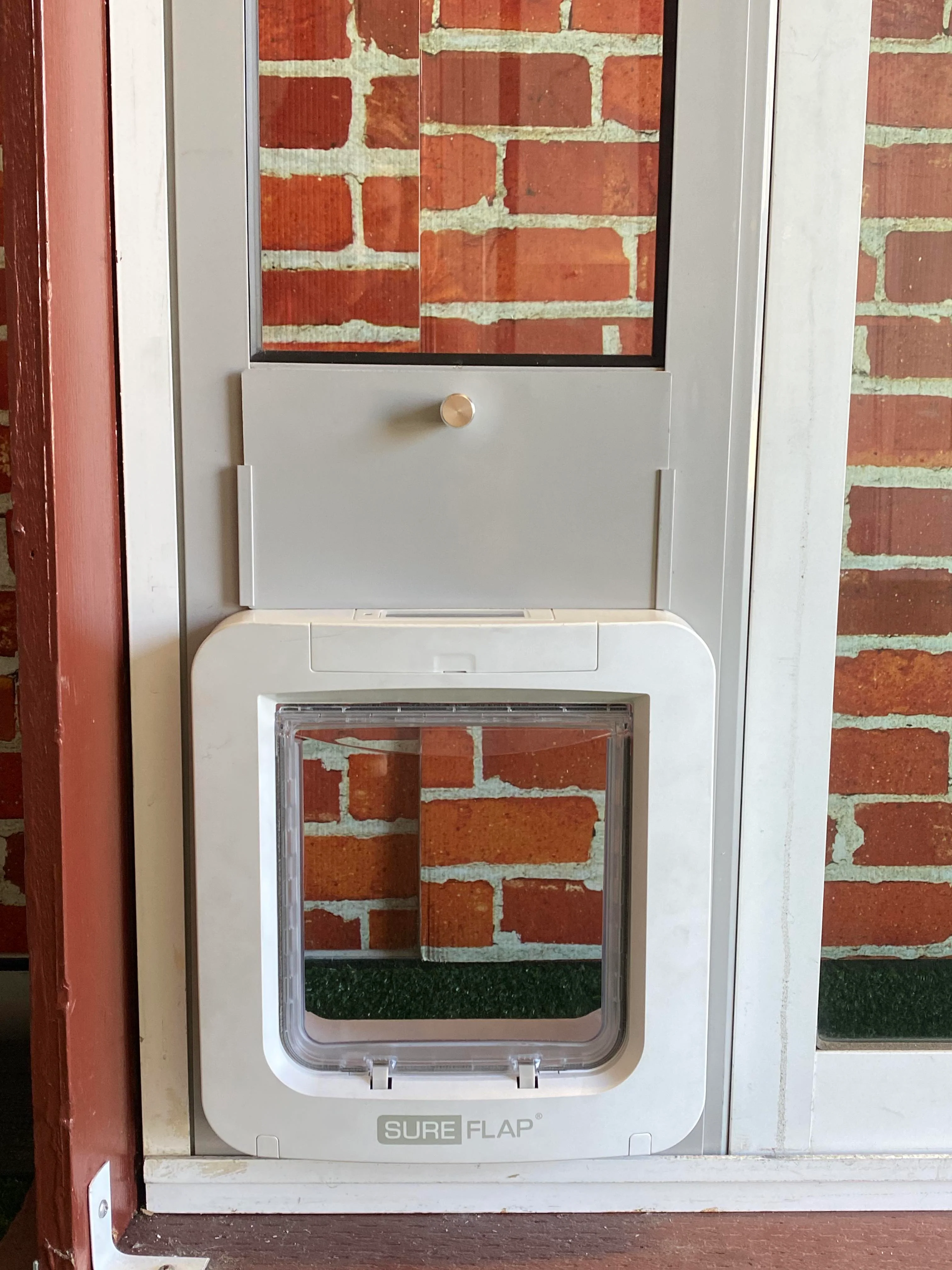 Find the Right Pet Door: